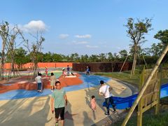 -春花秋色城市公园