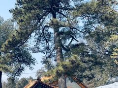 -潭柘寺景区