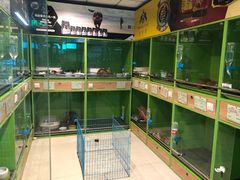 -米卢宠物公园(广华居店)