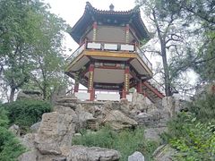 -莲花池公园