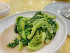 蒜蓉炒生菜-姚林轩