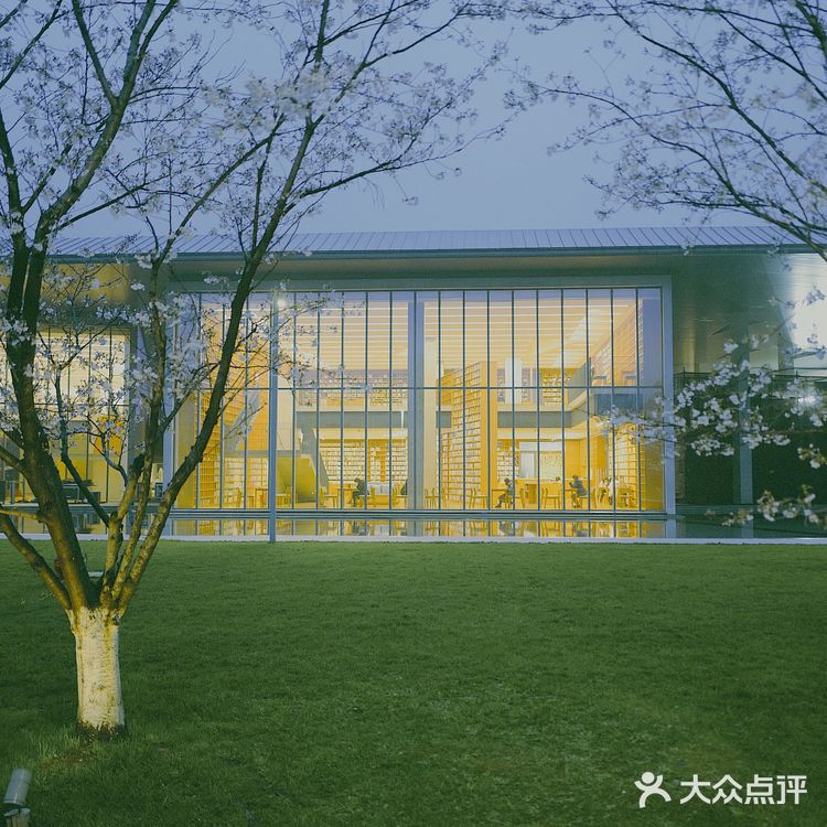 杭州樱花🌸这里晚上拍樱花！太梦幻了吧！