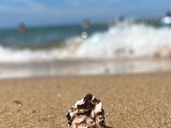 -那香海钻石沙滩浴场