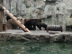 -上海野生动物园