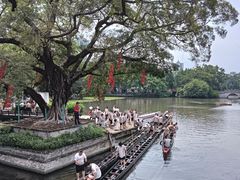 -荔湾湖公园