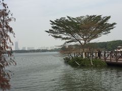 -海珠湖公园
