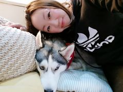 -Husky Go! 哈士奇体验馆·宠物咖啡厅狗咖