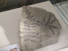 -辽宁古生物博物馆