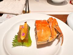 -觀芷隐轩