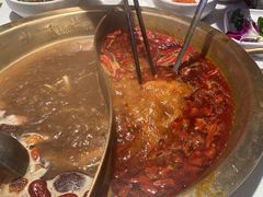 红白鸳鸯锅-小龙坎火锅(仓山万达店)