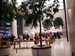 -Apple零售店(济南恒隆广场店)
