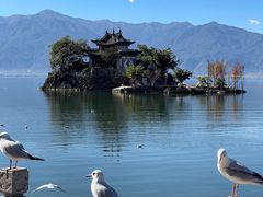 -大理洱海