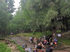 -阳台山自然风景区