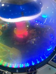 -万达宝贝王(长春红旗街店)