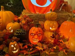 -郑州方特梦幻王国