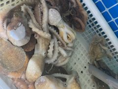 -锦顺海鲜•口味菜(李村店)