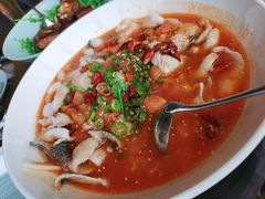 酸汤鱼-大连君悦酒店·星海湾壹号Dalian·Dalian(星海广场店)
