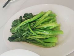 -金熊猫川菜餐厅