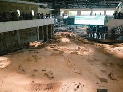 -自贡恐龙博物馆