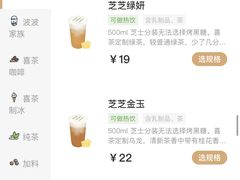 芝芝绿妍-喜茶(上海正大广场店)