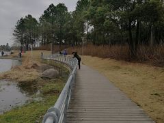 -美兰湖景区