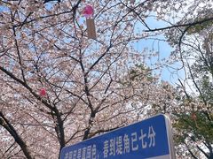 -堤角公园