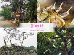 -美亭美榔姐妹塔