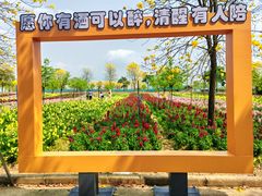 -天适樱花悠乐园