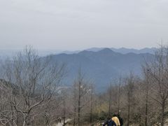-北仑森林植物园