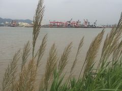 -芒洲湿地公园
