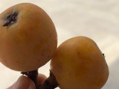 -太湖好灶头土菜馆(石公路店)