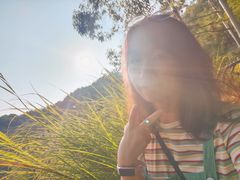 -神光山国家森林公园