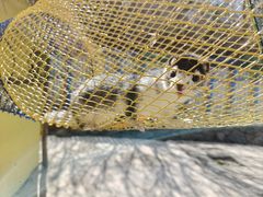 -西部长青自然儿童乐园