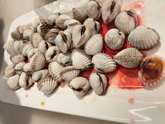 -华盛丰温州大排档(东三环南路店)