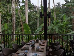 -植物园哈利亚餐厅