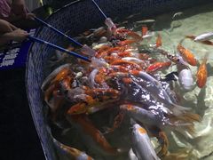 -烟台海昌鲸鲨海洋公园