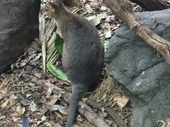 -威勒比开放式动物园