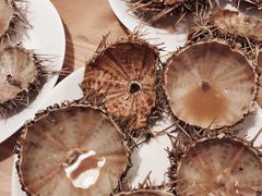 -海胆小馆(东北水饺·春柳店)