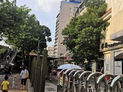 -广州中医药大学第一附属医院(总院)