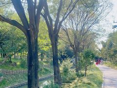 -北坞公园
