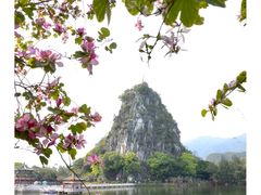 -羚羊峡古栈道森林公园