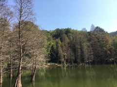 -广州市白云山风景名胜区