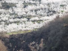 -樱桃山旅游景区