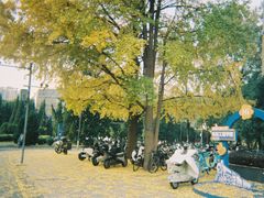 -西南交通大学(九里校区)