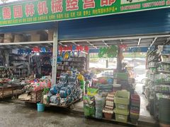 -桂林市花鸟市场