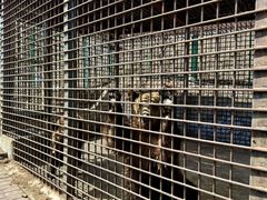 -水上乐园·欢乐世界