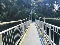 -保利石象湖景区