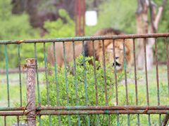 -沈阳森林动物园