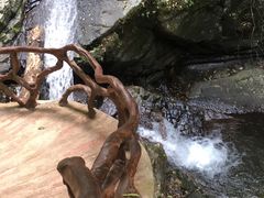 -江西阳明山国家森林公园