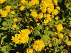 -永定河休闲森林公园